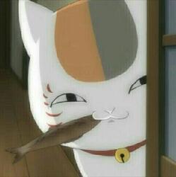 lijiaen