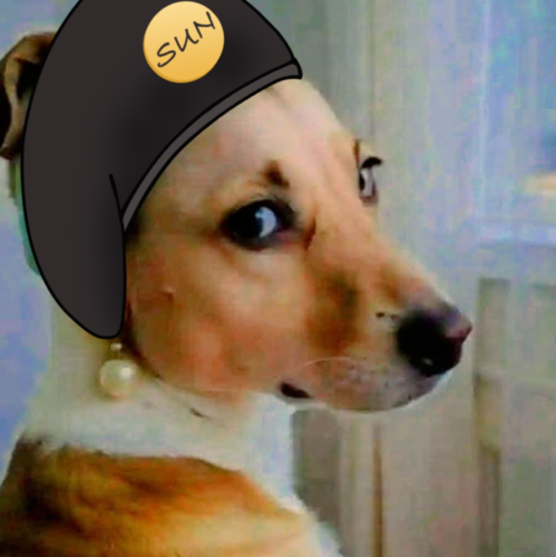 innocentsundoge.cc.cc
