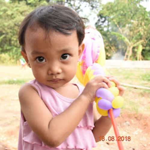tandi.cc.cc